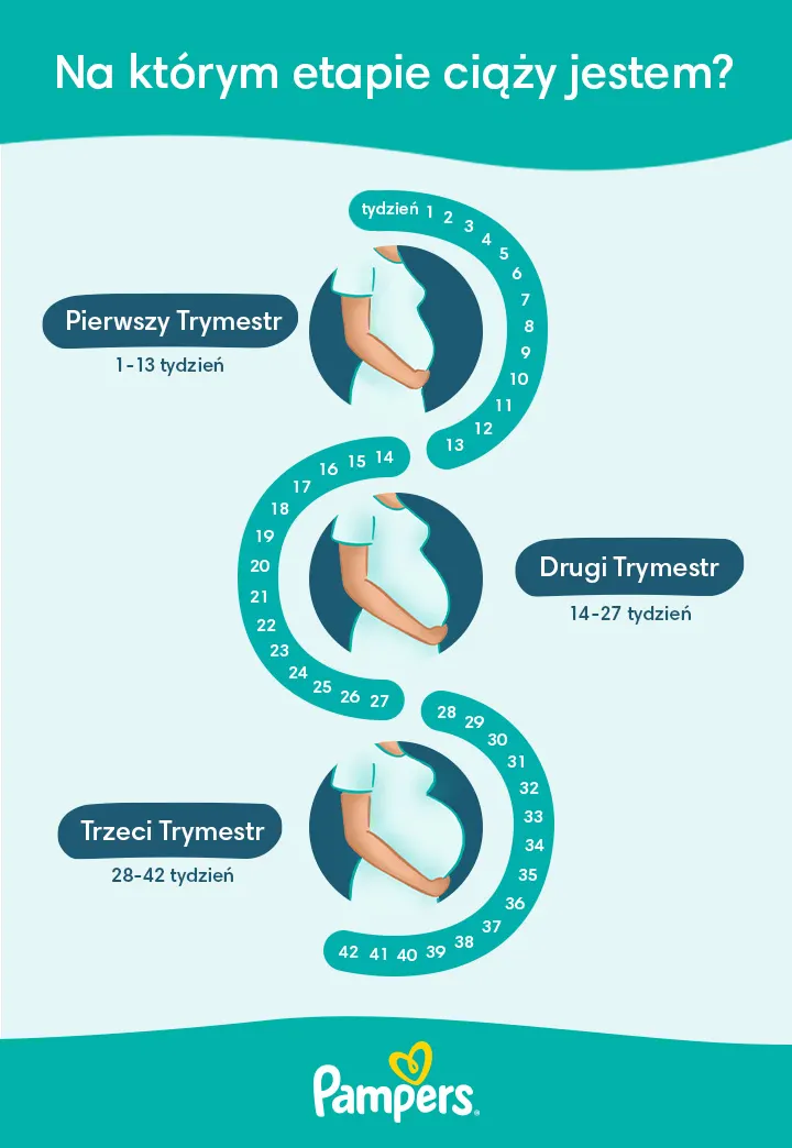 pampers premium care 1 pieluszki pieluchy 78 szt