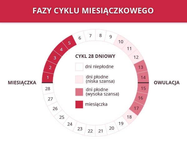 pieluchy wieloraziwe galaktyka