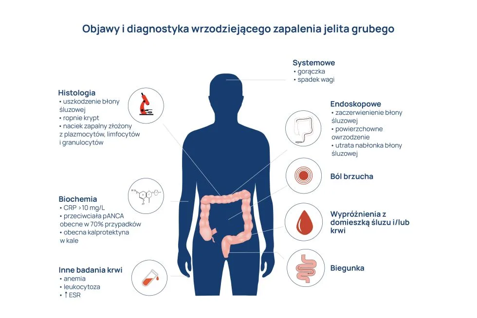 ziko pieluchy dla dorosłych