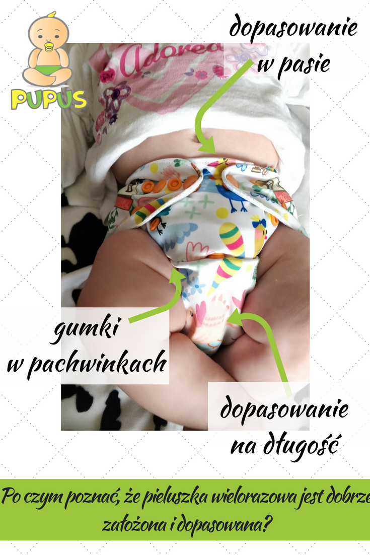 pampers producent dady