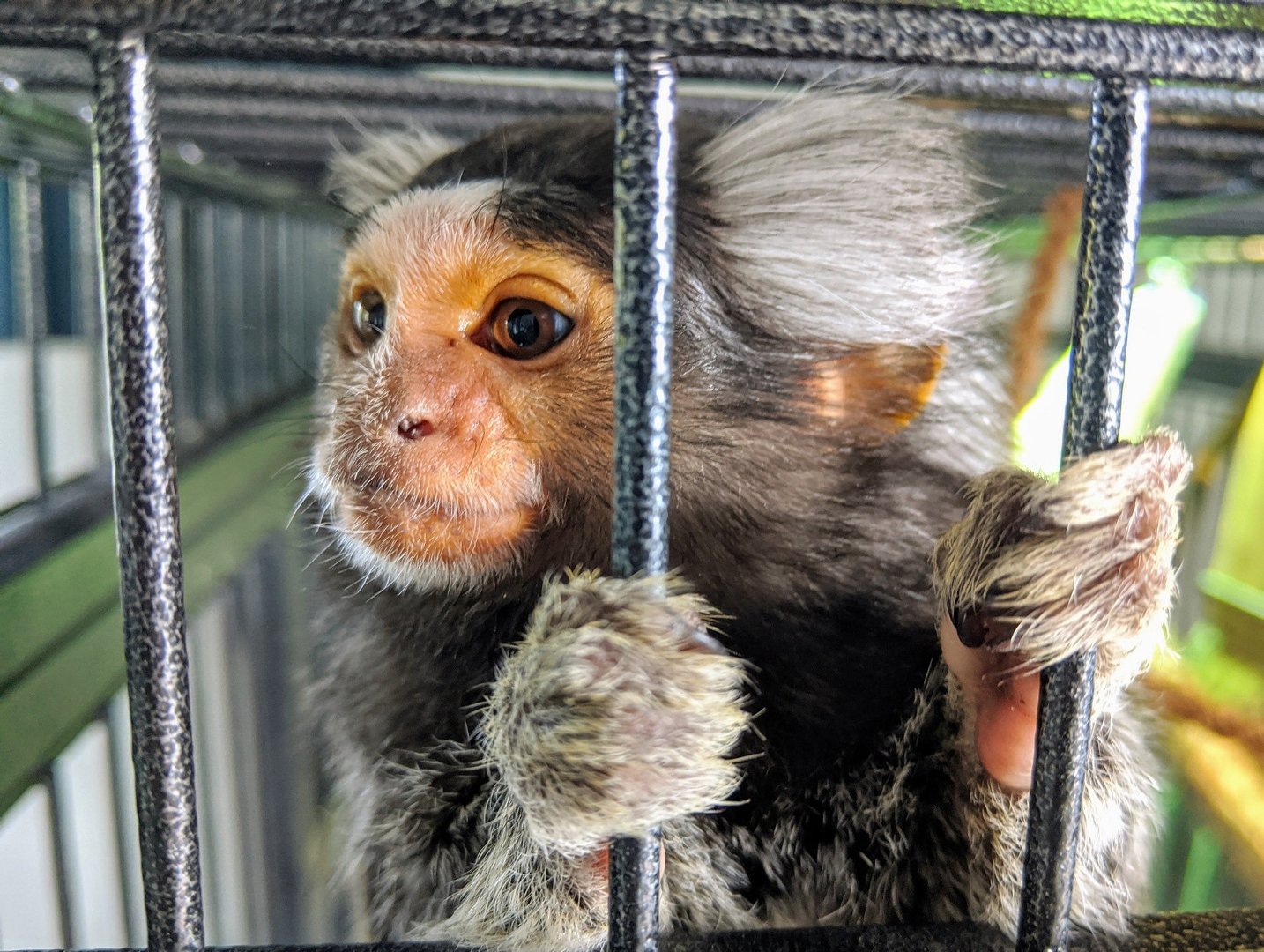 pieluchy bella newborn toruń