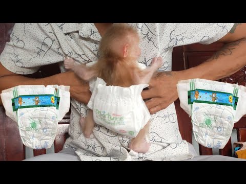 pieluszki pampers active baby bez aloesu