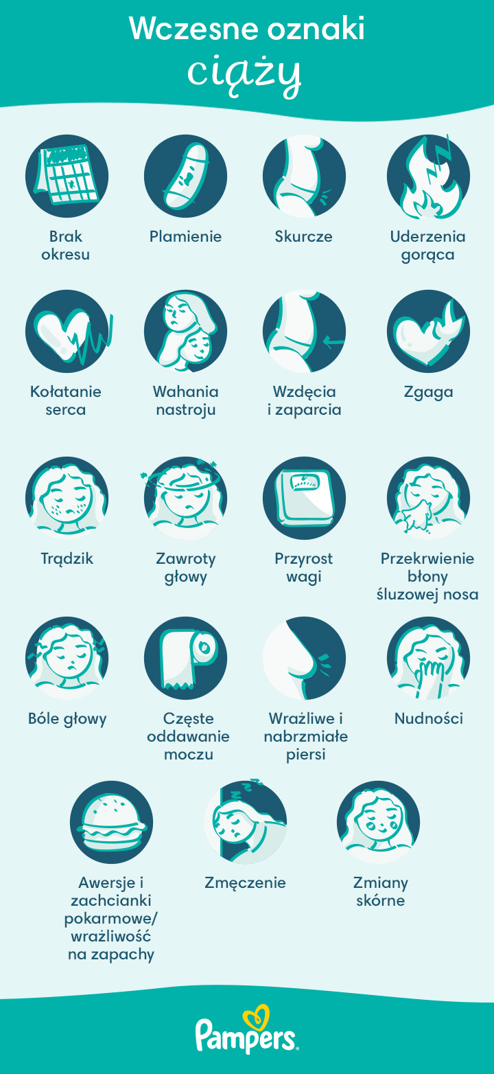 pampers premium care tłumacz