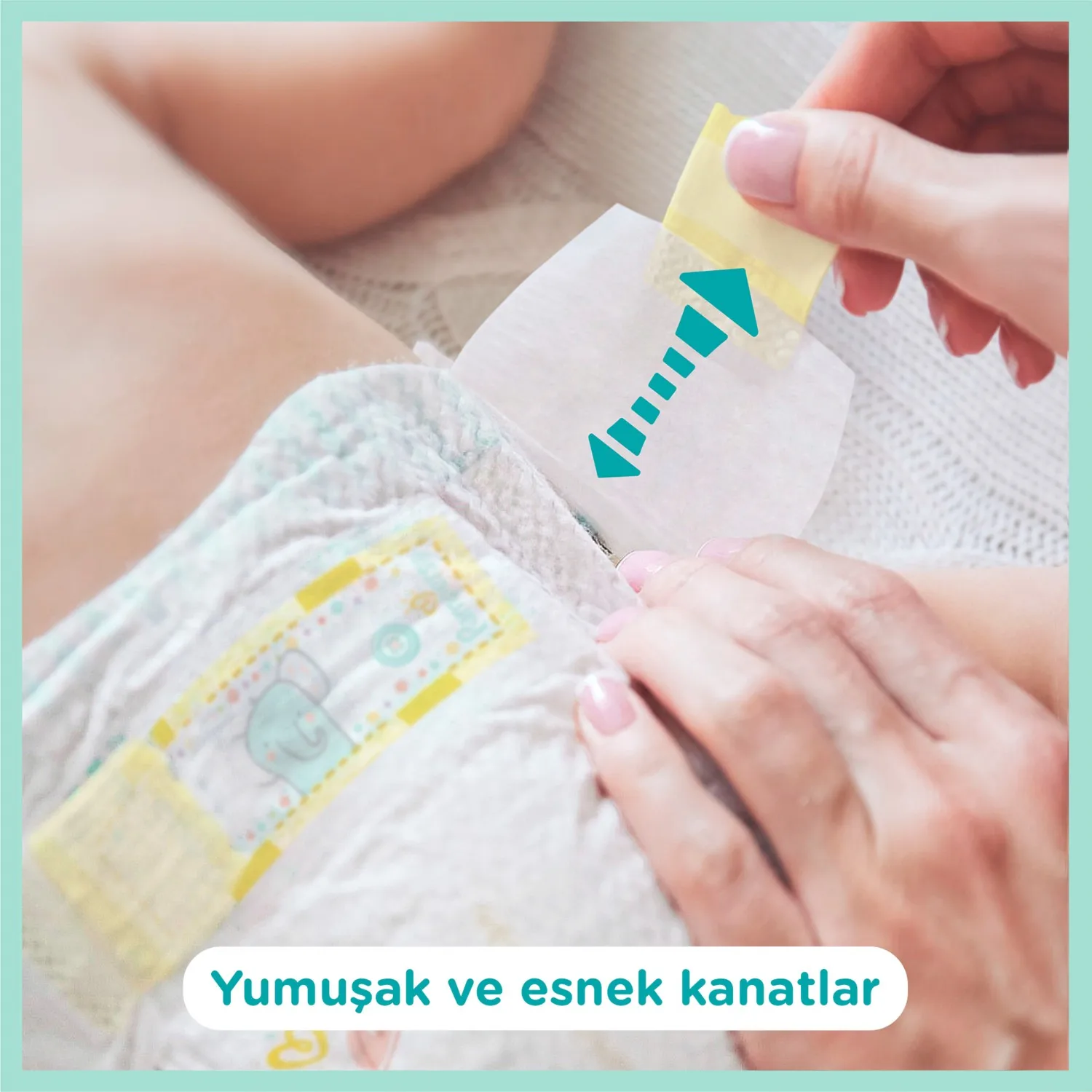 pampers premium pants gdzie przod